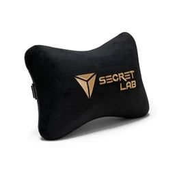 2020-headpillow-front-gold
