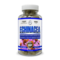GETYOKD_HITECHPHARMA_echinacea-min