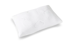 Pillow_e443855e-2c12-4a06-a3ae-cf3d8a1f711d