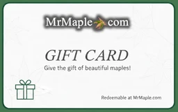 GiftCard