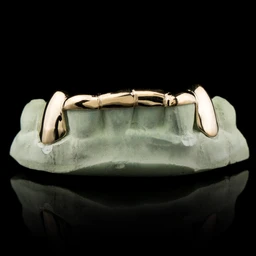 Gold-Connecting-Bridge-Style-Grillz