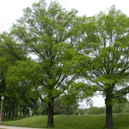 4001