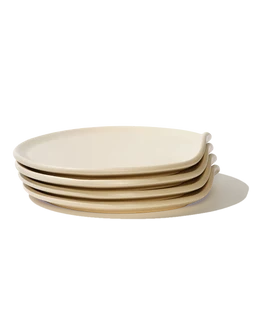 TW-DIN-BONE-4