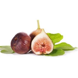Brown-Turkey-Fig-Tree-Primo-Size-For-Sale