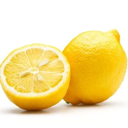 Eureka-Semi-Dwarf-Lemon-Tree