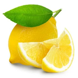 Lisbon-Semi-Dwarf-Lemon-Tree