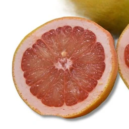 Rio_Red_Grapefruit-citrus-tree-1
