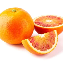 SmithRedBloodSemi-DwarfOrangeTree-Primo-Size-1