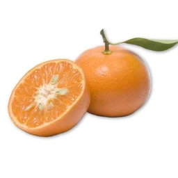 dancy-mandarin-tree
