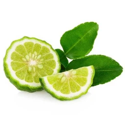makrut-thai-lime-tree-1
