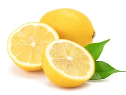 meyer-lemon-1