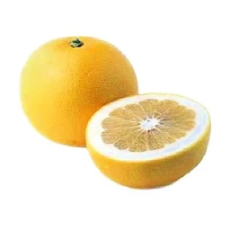 oroblnco-grapefruit-tree-primo-size-1