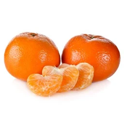 w.-murcott-mandarin-tree-primo-size