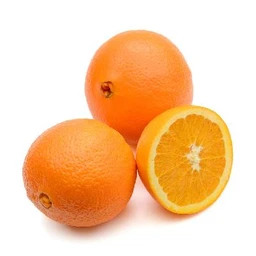 washington-navel-orange-tree-primo-size-1