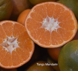 Tango_Mandarin