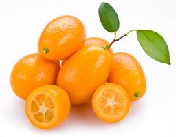 shutterstock_92547181kumquat1