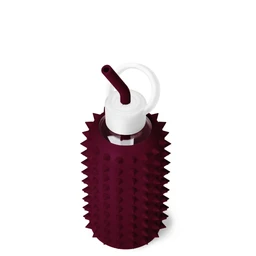 bkr-sip-kit-silicone-straw-cap-glass-water-bottle-16oz-spiked-valentina-a-kiss-on-each-cheek-little-bottle-sip-kit-500ml-16-oz-rdvkcpk-t16pb-34775396614315