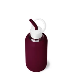 bkr-sip-kit-silicone-straw-cap-glass-water-bottle-16oz-valentina-a-kiss-on-each-cheek-little-bottle-sip-kit-500ml-16-oz-rdvkcpb-t16pb-34775399235755