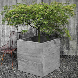 Chenes_Brut_Garden_Box_Planter